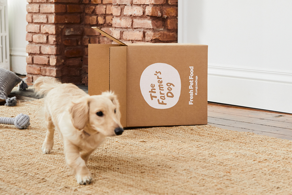 empty box of The Farmer's Dog food turned on its side with small dog running by it