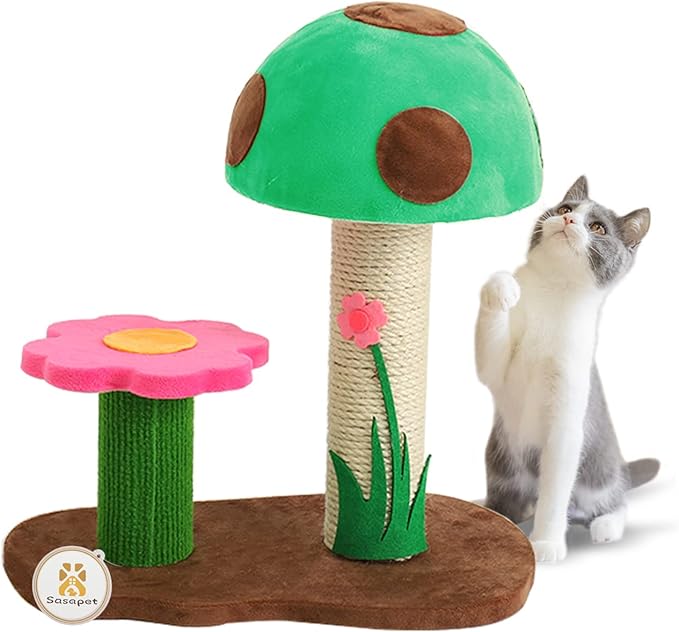 Cat mushroom tree