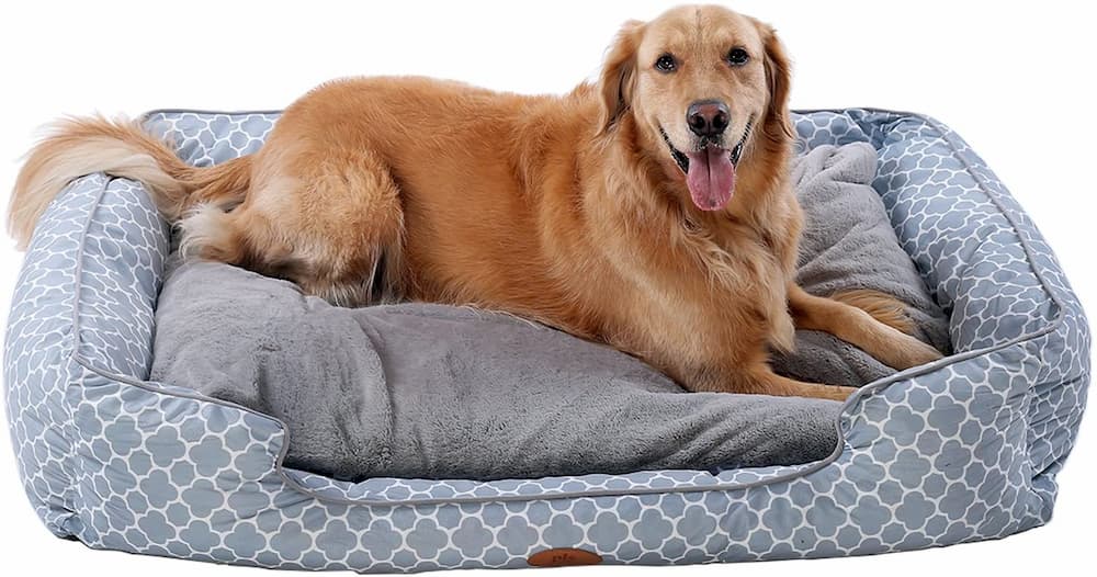 PLS Birdsong Trellis Bolster Dog Bed