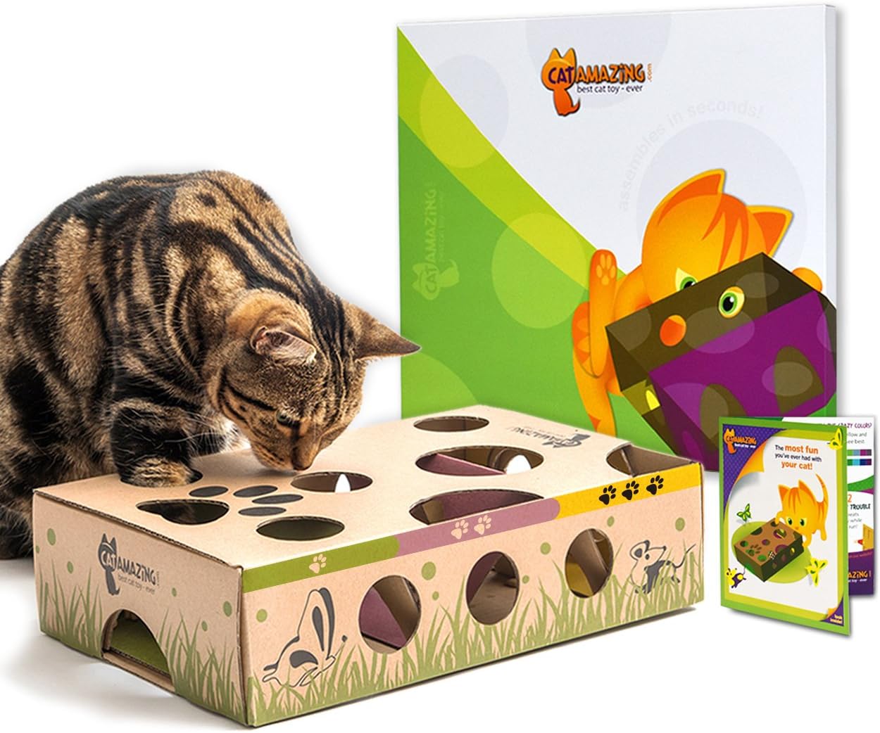  Cat Amazing Classic puzzle feeders