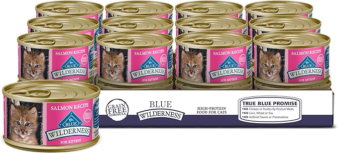 BLUE Wilderness Salmon Natural Kitten Paté