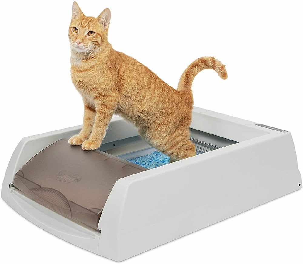 PetSafe ScoopFree Automatic Self-Cleaning Cat Litter Box