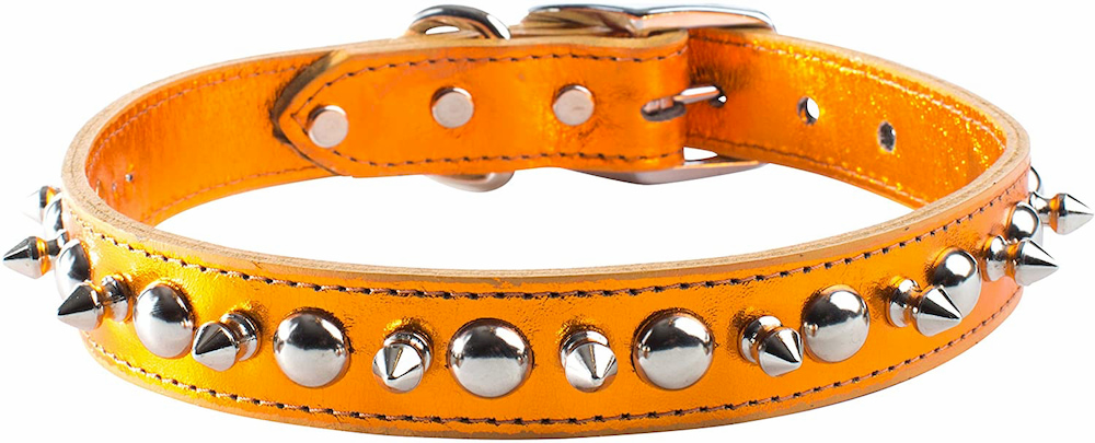 OmniPet Signature Spiked Dog Collar