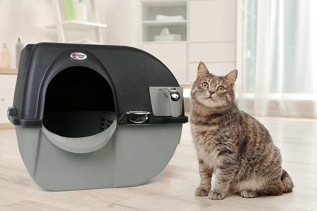 dog-proof litter box with cat nearby