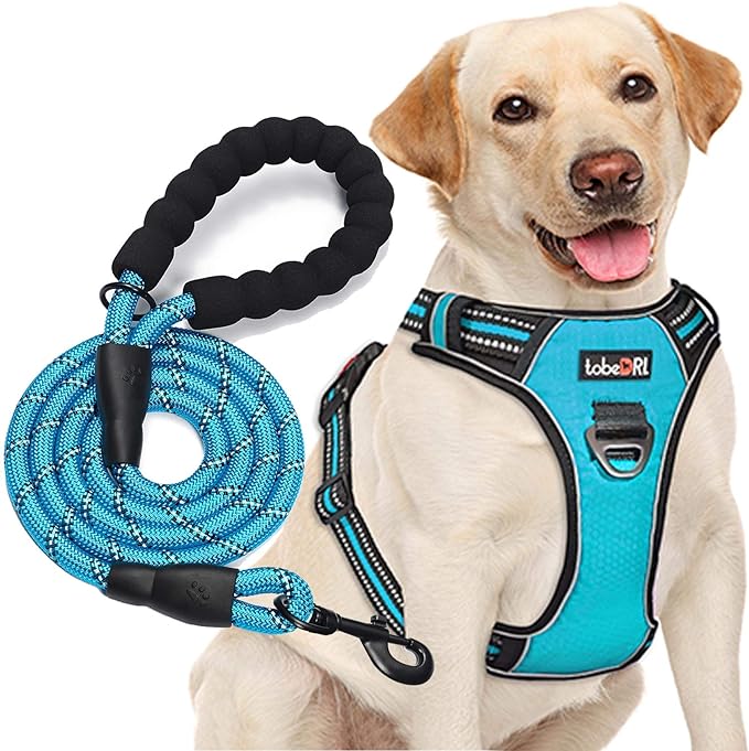 tobeDRI No-Pull Dog Harness and Leash