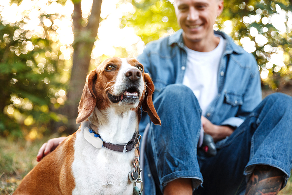 man and his dog sitting outside amongst trees