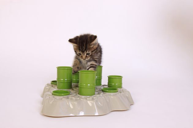 Aikiou Stimulo Cat Feeding Station