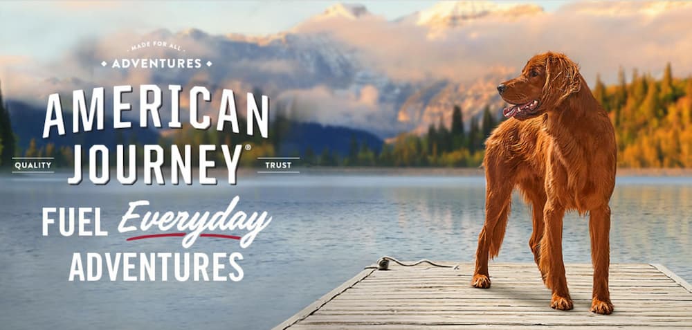 American Journey dog by lake