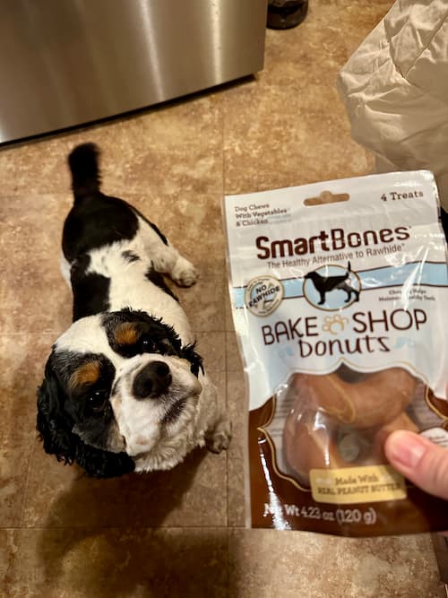 Cocker Spaniel donuts