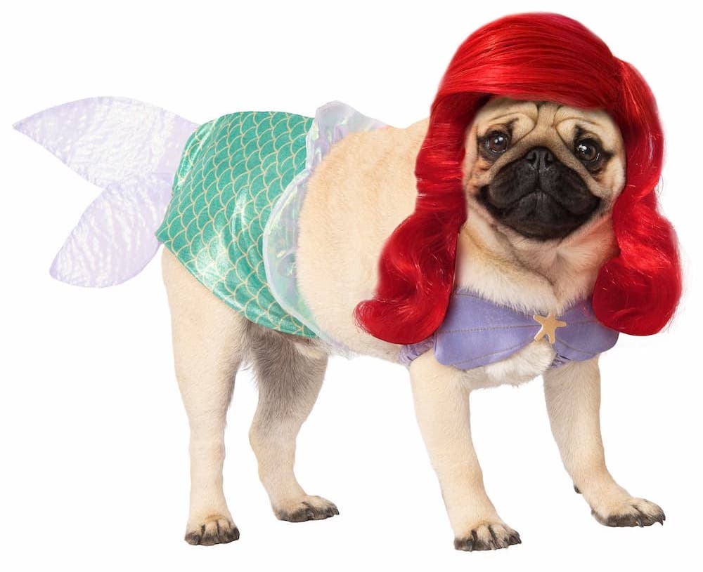 Ariel halloween dog costume