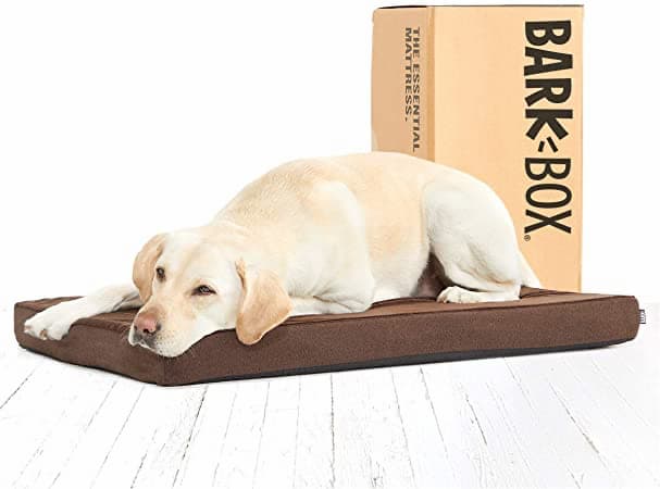 Barkbox Memory Foam Platform Dog Bed