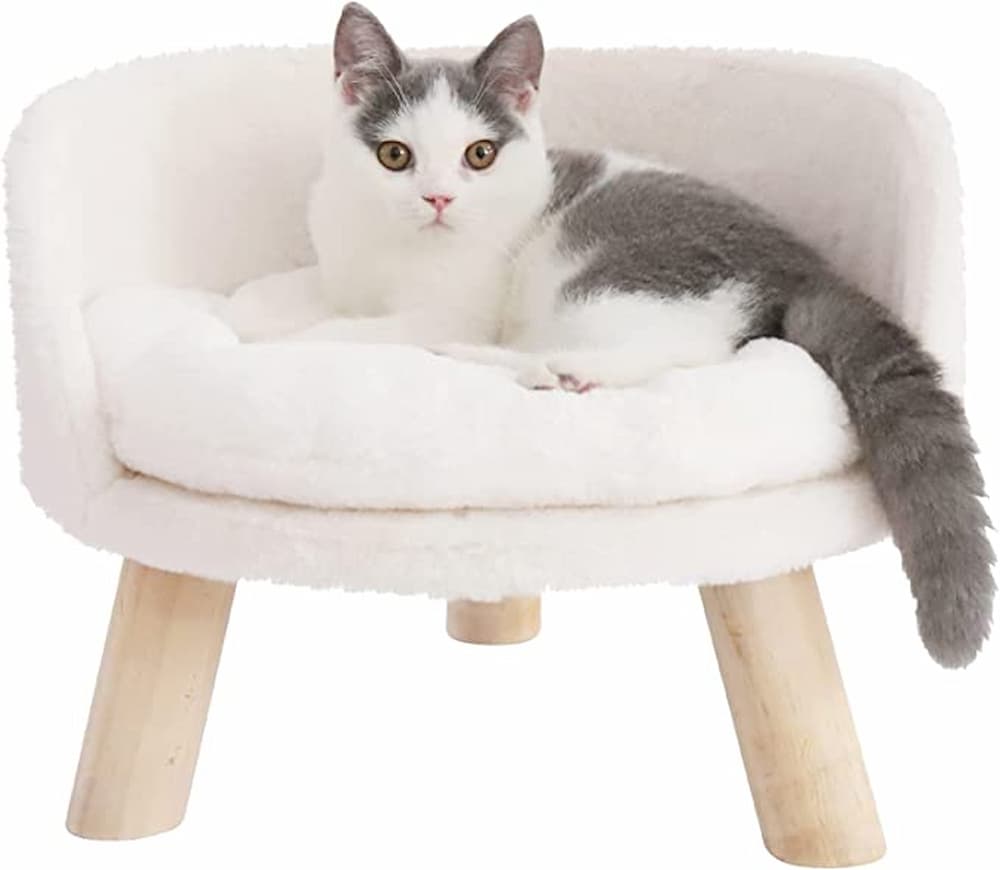 BingoPaw Elevated Pet Bed