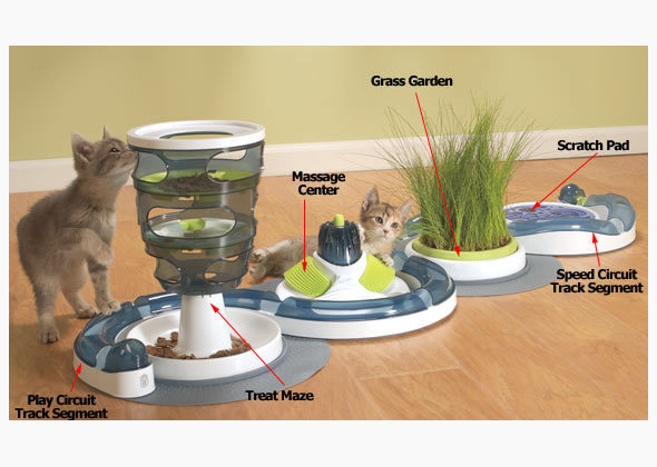 Kitty Activity Center