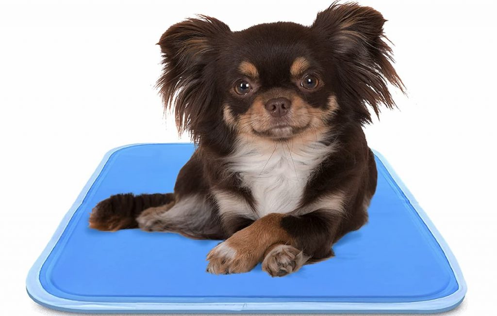 cooling mat for dogs