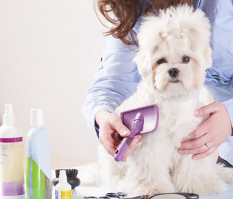 Dog Bathing Products