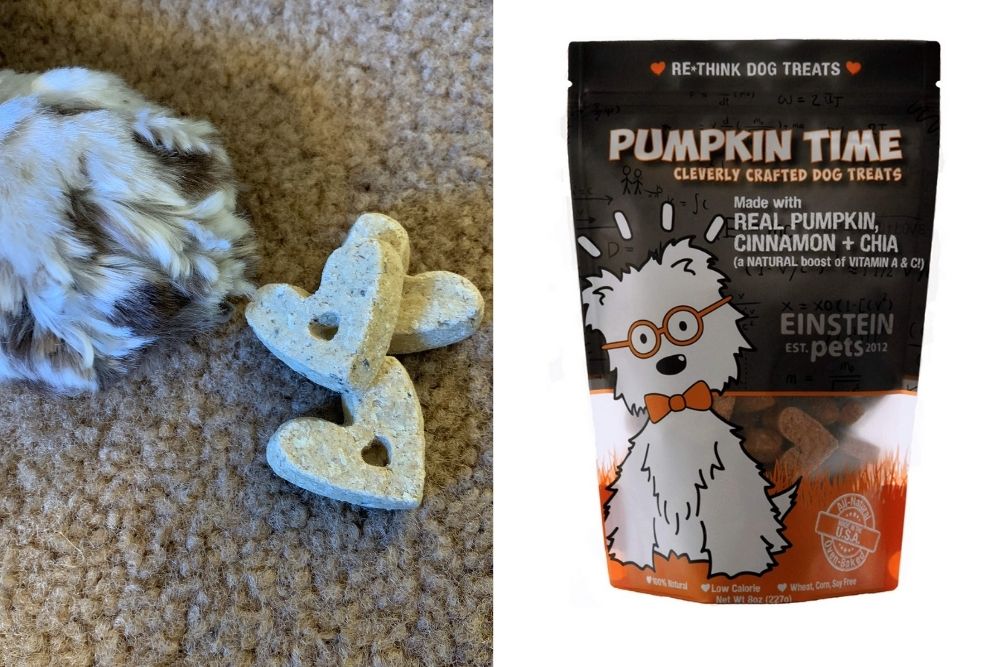 Chia infused pumpkin treats