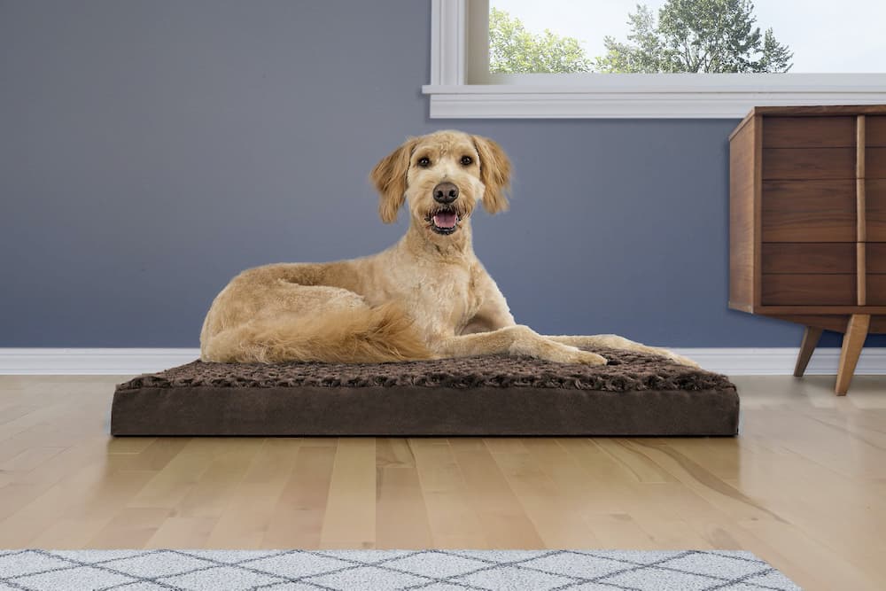 FurHaven NAP Deluxe Memory Foam Pillow Dog Bed