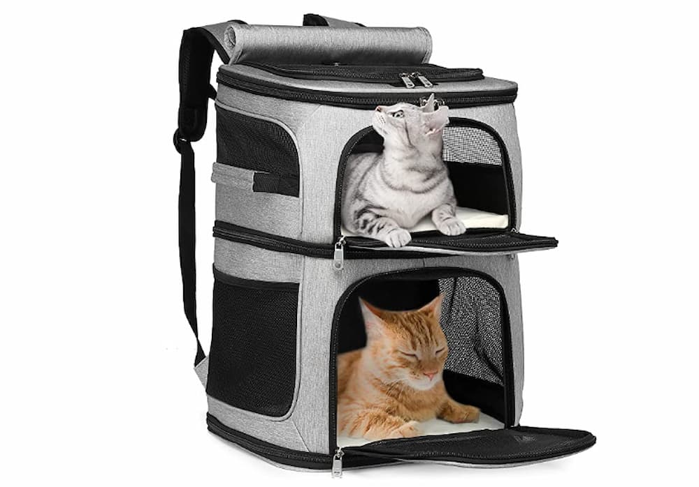 GJEASE Double-Compartment Pet Carrier Backpack