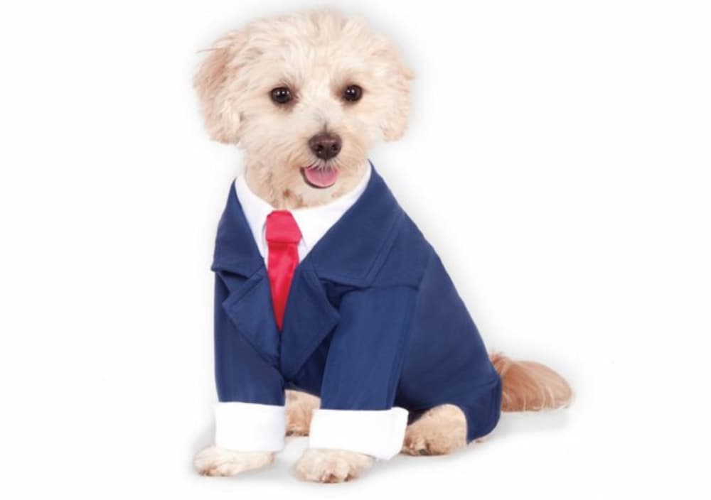 Halloween Business Suit Pet Costume