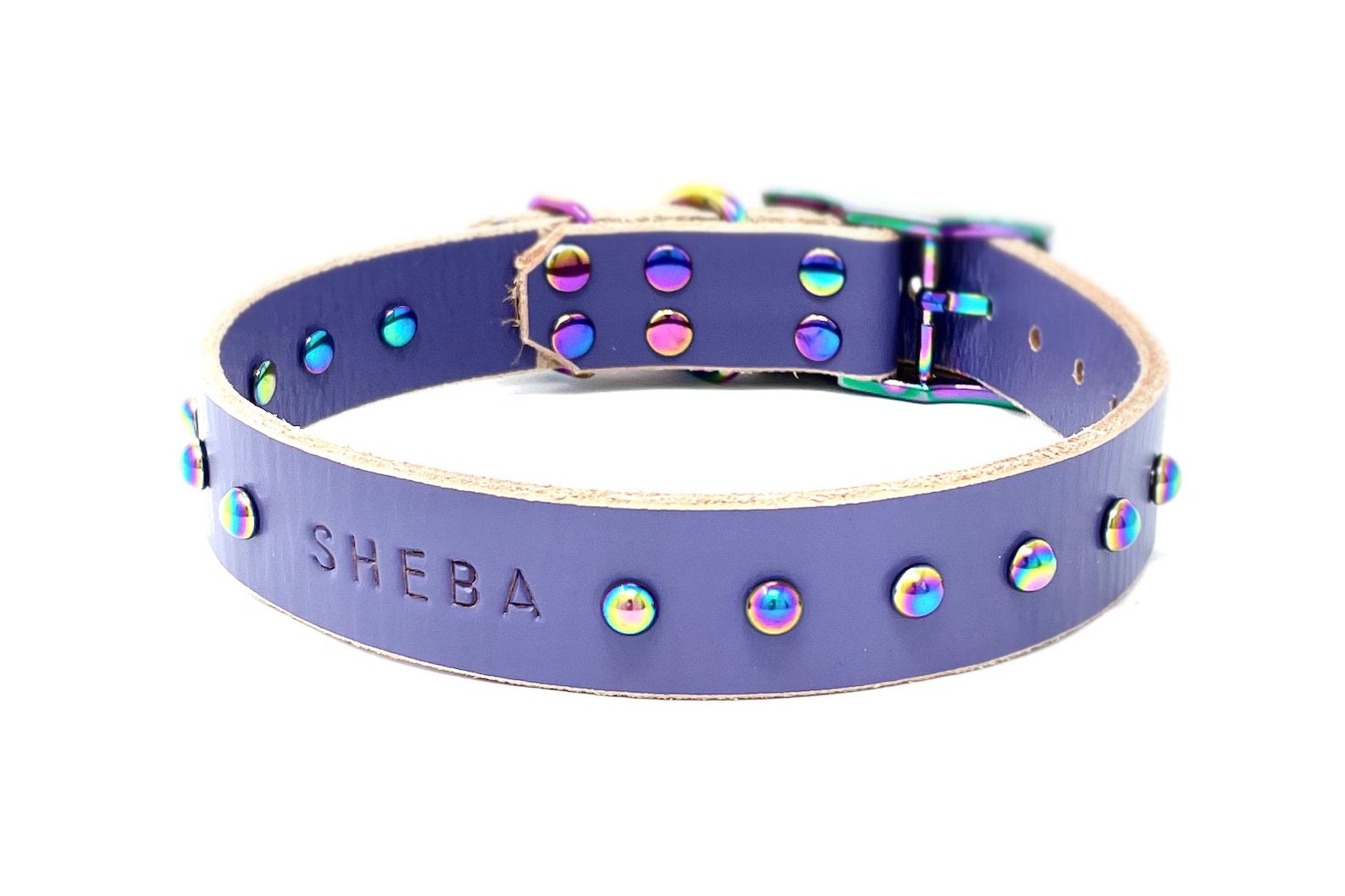 star studded dog collar