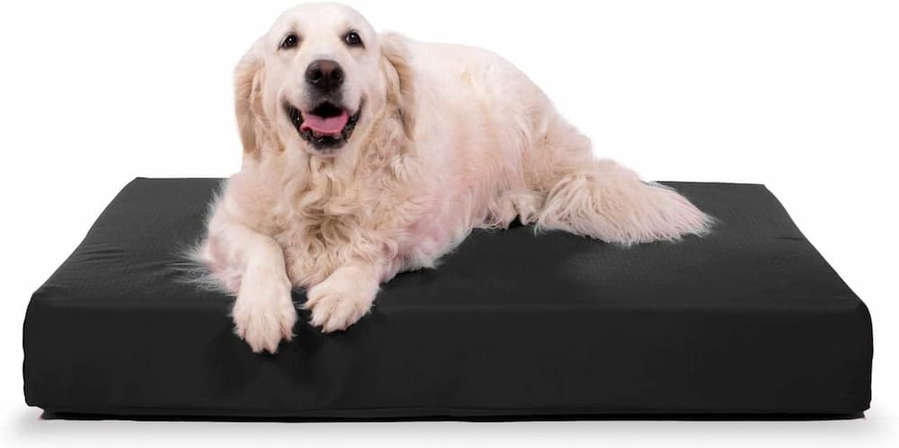 K9 Ballistics Orthopedic Dog Bed