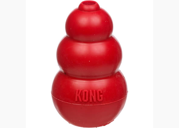 Kong