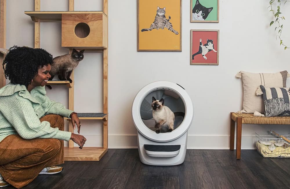 Litter-Robot 4 self cleaning litter boxes for cats