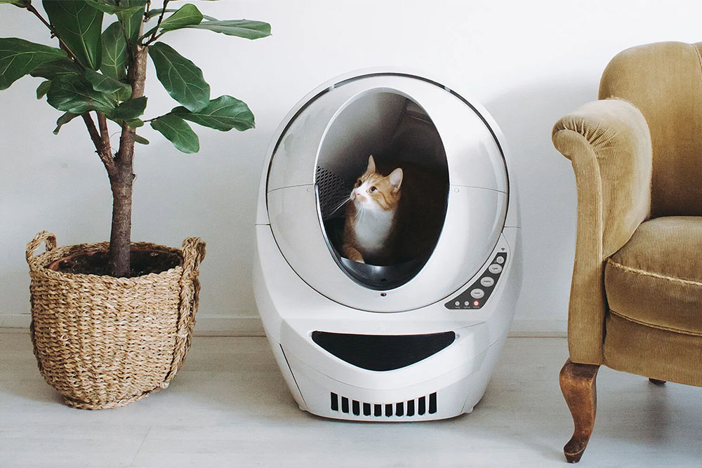 Whisker Litter-Robot Review: Never Scoop Again