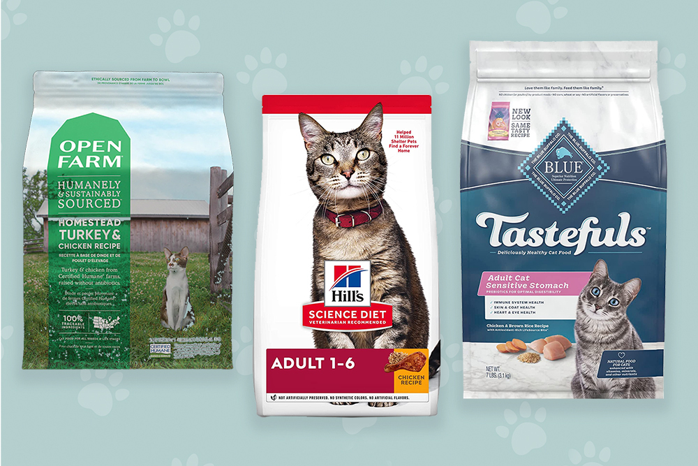 15 Best Cat Foods Approved By Vets in 2024