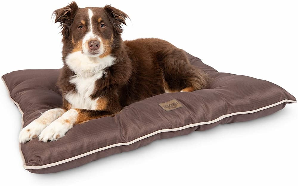 Pet Craft Supply Dog Bed is chew resistant 