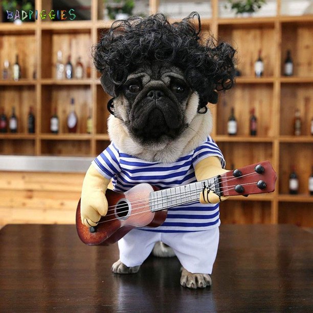 Pet Guitar Costume