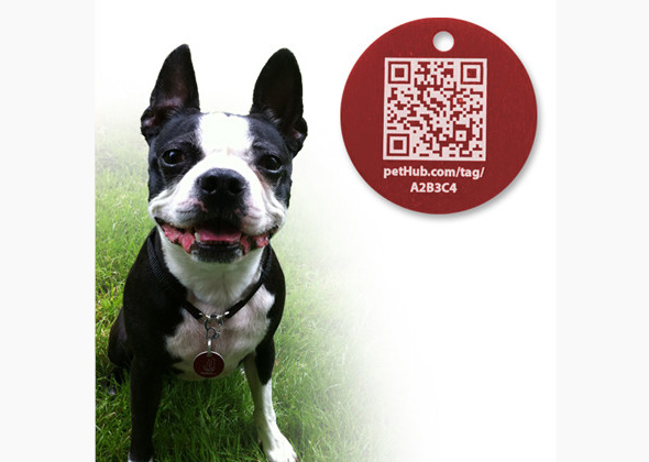 Pet Hub SmartLink Tag