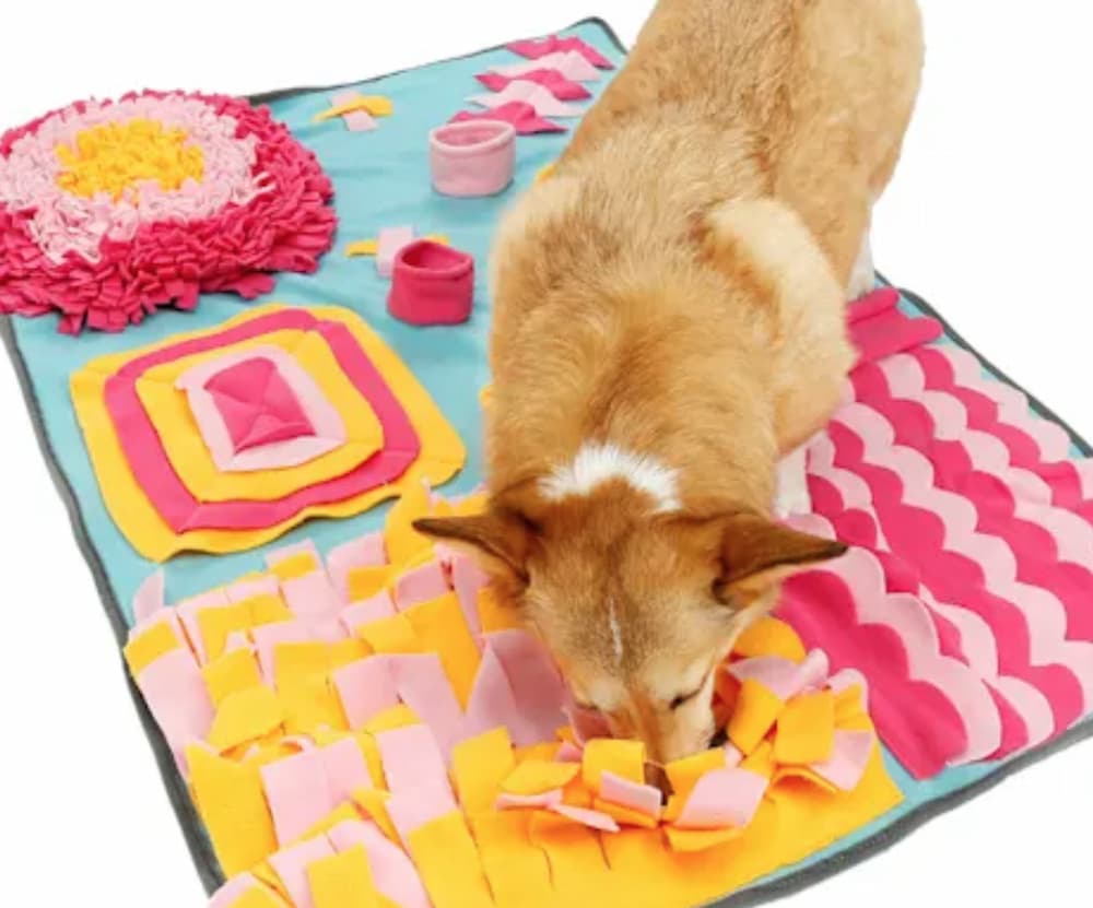 Pet Life Blue 'Sniffer Snack' Interactive Feeding snuffle mats for dogs