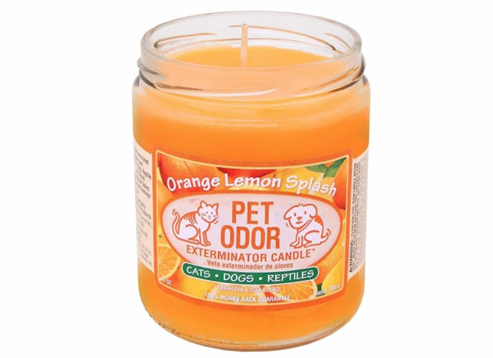 Pet Odor Exterminator Candle, Orange Lemon Splash