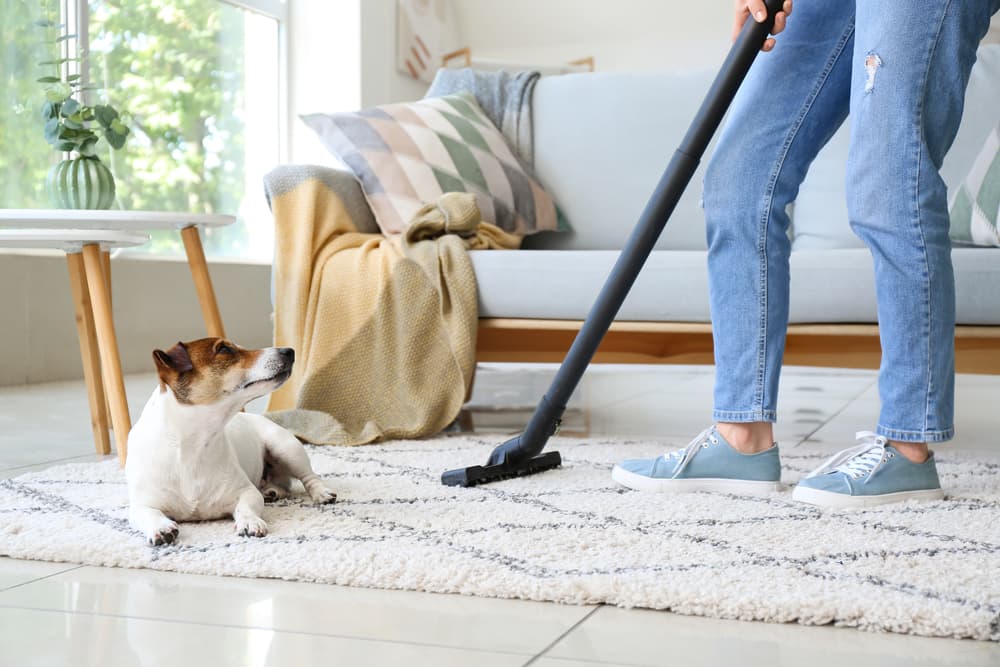 Woman vacuuming next to dog