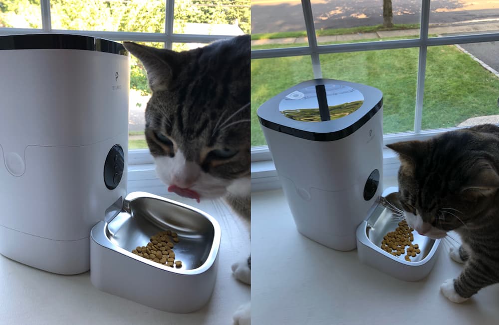 Testing PetLibro auto feeder