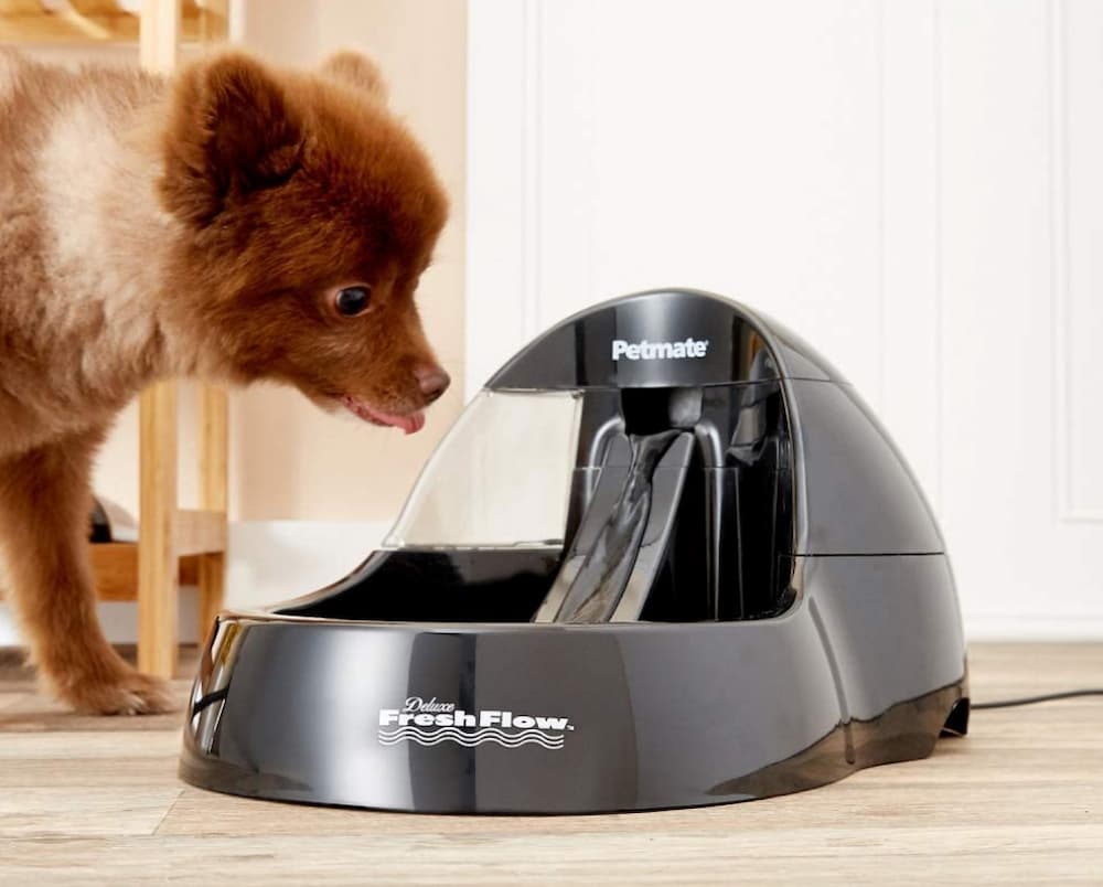 Petmate pet water fountain