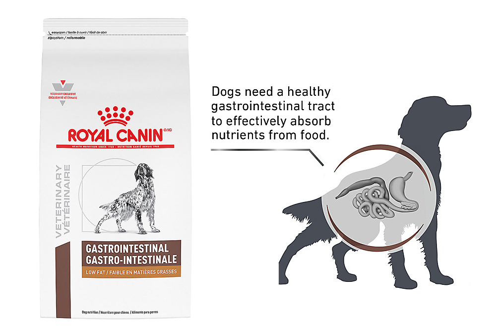 Royal Canin dog food reviews gastrointestinal formula 