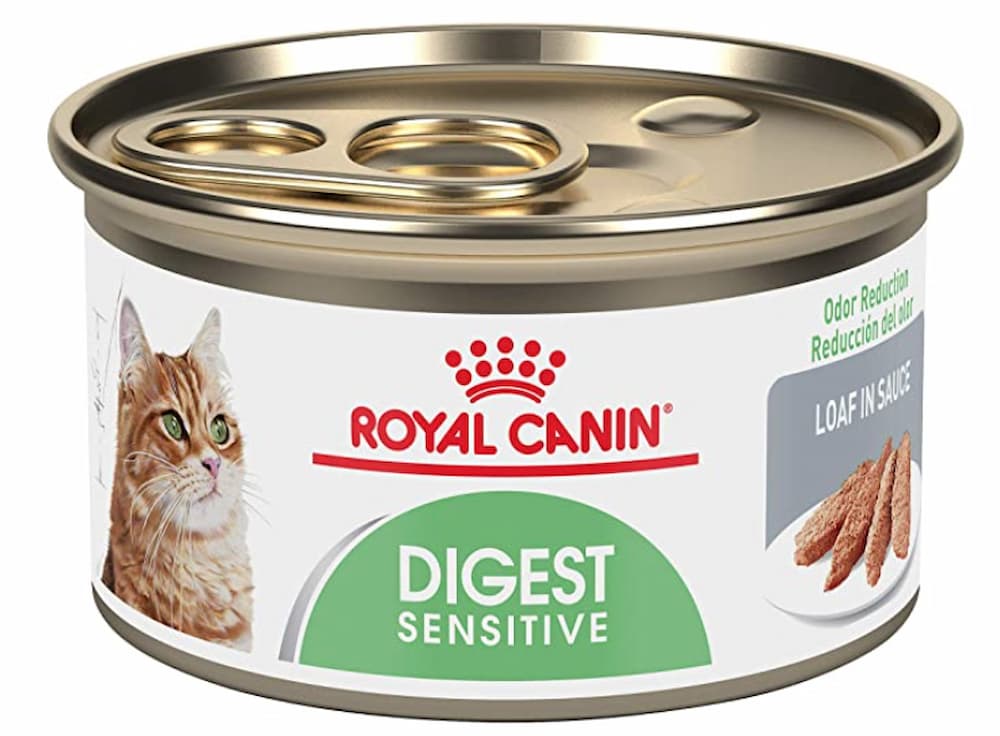 Royal Canin Feline Care Nutrition Digest Sensitive Loaf in Sauce Canned Cat Food