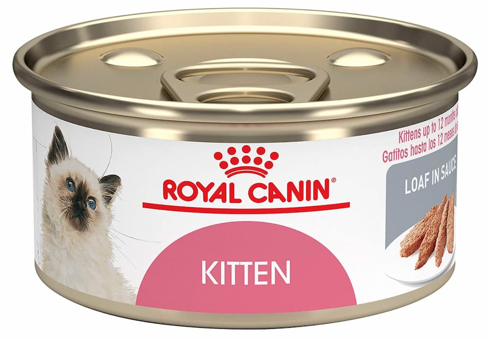 Royal Canine kitten food in sauce