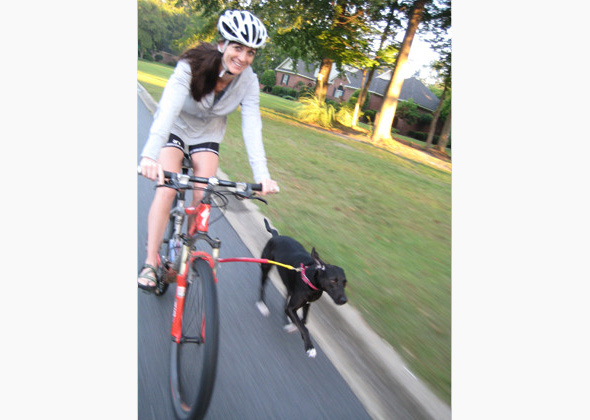 Running Dog Bike Tow Leash