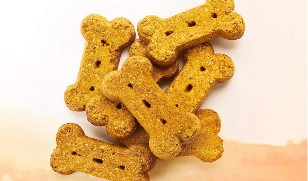 Halo vegan pumpkin dog treats