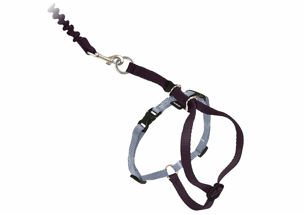 PetSafe Come With Me Kitty Harness