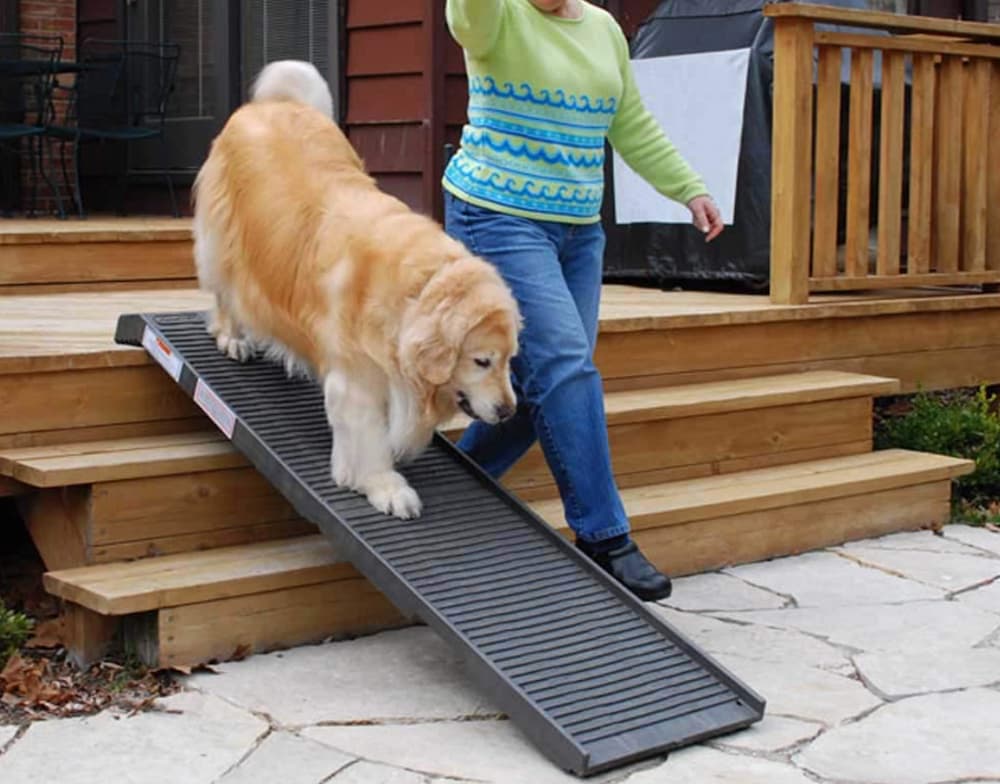 PetStep Original Folding Dog Ramp