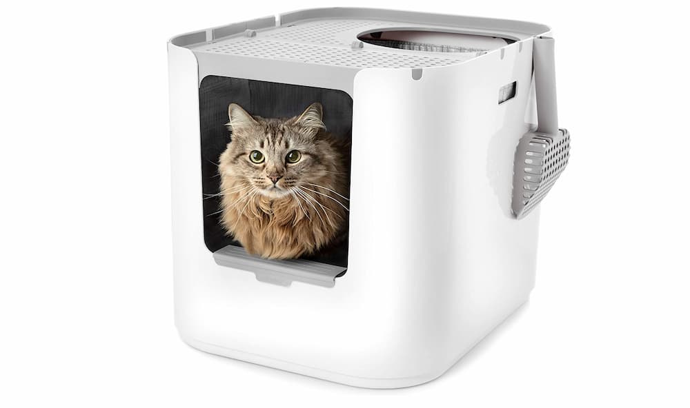 ModKat Top entry litter box