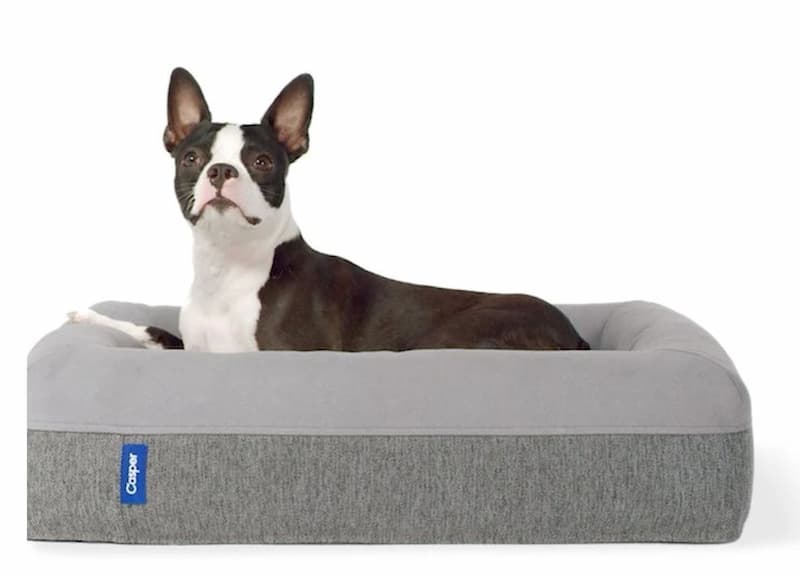 The Dog Bed by Casper