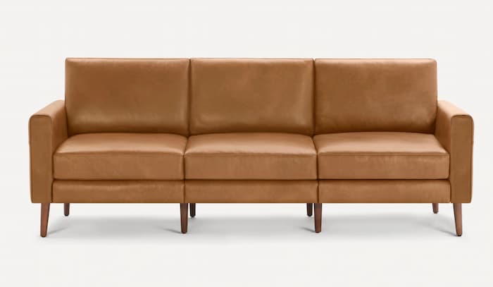 Leather couch for dogs