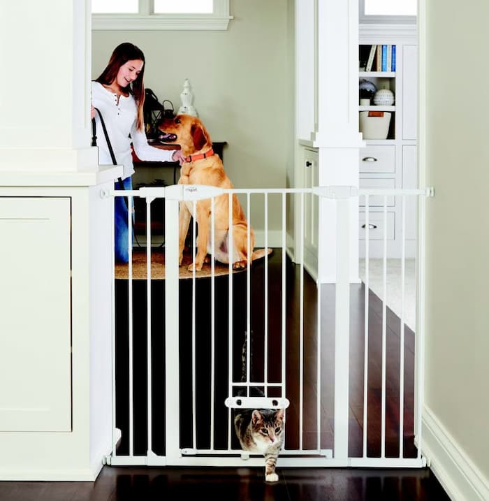 Best cat gate for dog with cat door