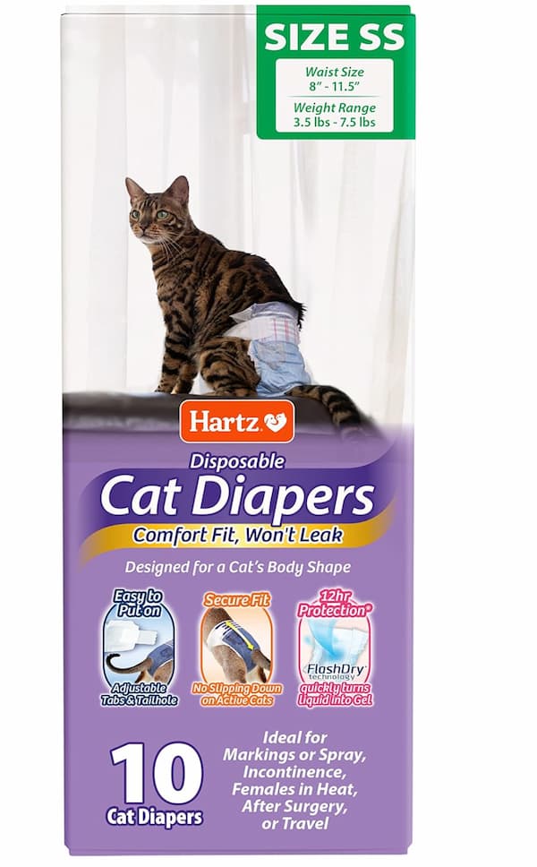 cat diapers with cat sitting nearby