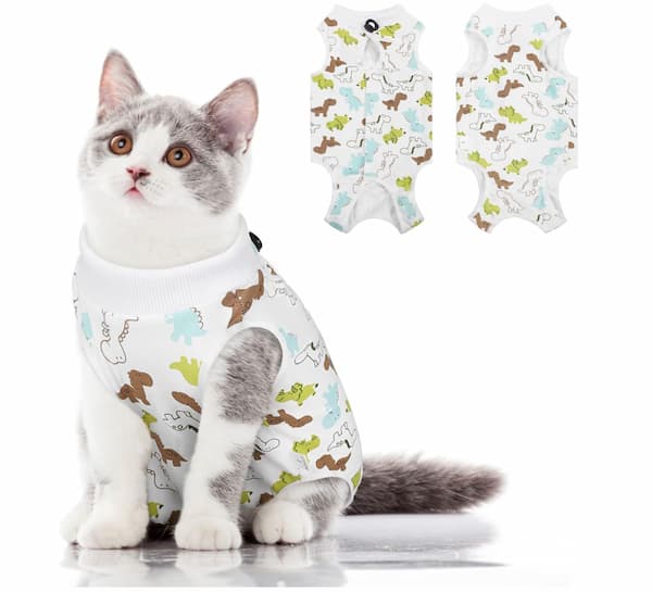 cat diapers with cat nearby